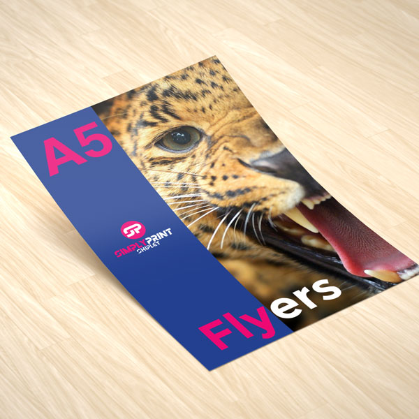 Flyers - Image 4